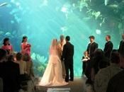 Mind-Blowing Wedding Venues Won’t Believe Exist