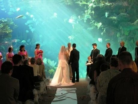 Wedding at an Aquarium