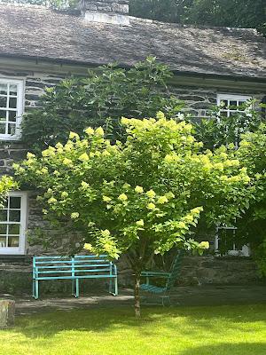 A Plas Brondanw return