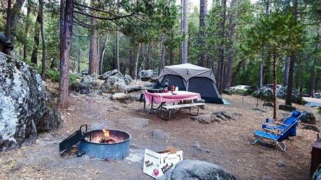 Yosemite National Park Wawona Campground 
