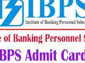 IBPS Admit Card 2024 Office Assistant Call Letter Download