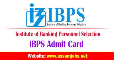 IBPS Admit Card 2024 | CRP RRB Office Assistant Call Letter Download