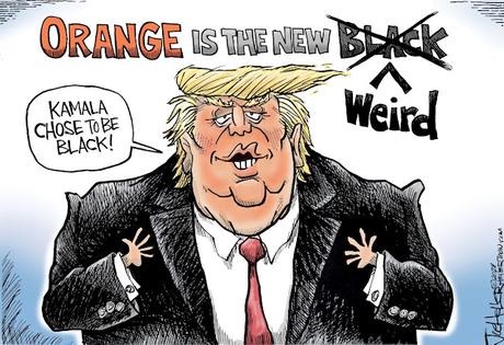 Orange Is The New Weird