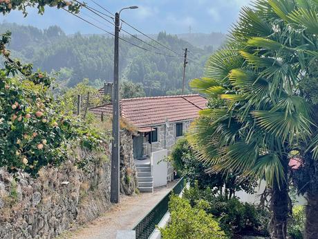 Traditional Portuguese village houses in Santo Estevão with a little road leading alongside a stone wall and fruit trees on either side