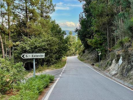 Road through the eucalyptus trees in rural northern portugal with a sign pointing to a small side road on the left labelled towards Santo Estevão