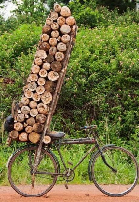 Bicycle Overloaded With Logs