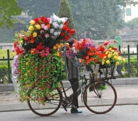 Bicycle Overloaded With Flowers