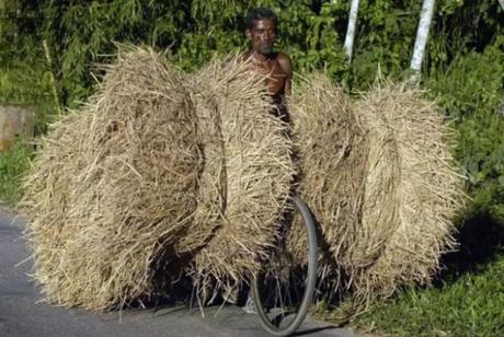 Bicycle Overloaded With Hay