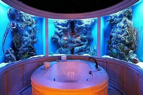 Aquarium Bathroom