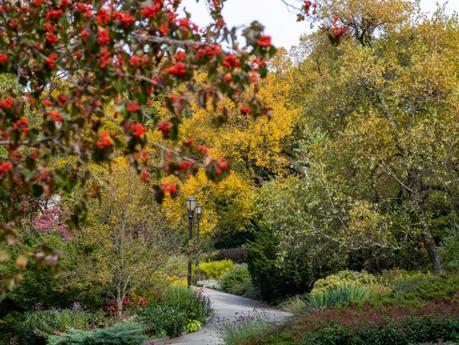 Pathway through trees showing Fall colours in Fort Tryon Park