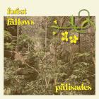 Forest Fallows: Palisades