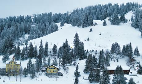 Nature produces the most astoundingly beautiful images: the swirling lava of a volcano, palm trees against a blue sky, snow-capped mountains towering above. Unsplash has magnificent , high-quality photos of all the delights that nature has to offer.