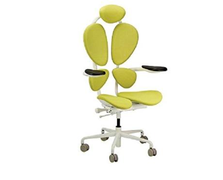 Chakra Modern Office Chair