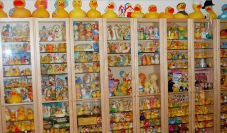 World's Largest Collection of Rubber Ducks