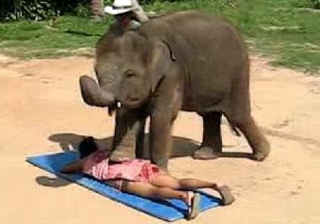 The Elephant Massage