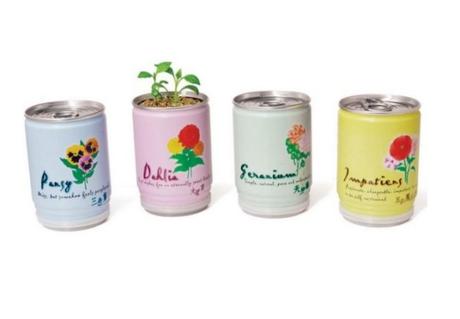 Flowers in a can