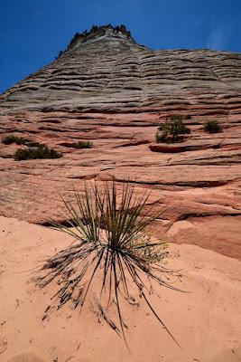 SPECTACULAR RED ROCKS OF SOUTHERN UTAH: Expeditions from St. George/Ivins, Guest Post by Matt Arnold