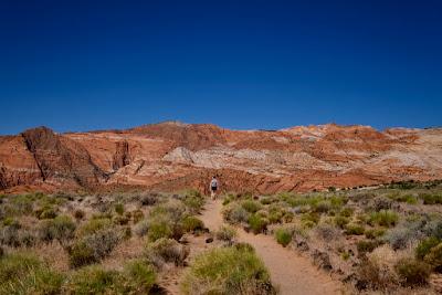 SPECTACULAR RED ROCKS OF SOUTHERN UTAH: Expeditions from St. George/Ivins, Guest Post by Matt Arnold