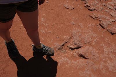 SPECTACULAR RED ROCKS OF SOUTHERN UTAH: Expeditions from St. George/Ivins, Guest Post by Matt Arnold