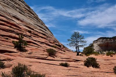 SPECTACULAR RED ROCKS OF SOUTHERN UTAH: Expeditions from St. George/Ivins, Guest Post by Matt Arnold