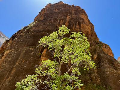 SPECTACULAR RED ROCKS OF SOUTHERN UTAH: Expeditions from St. George/Ivins, Guest Post by Matt Arnold