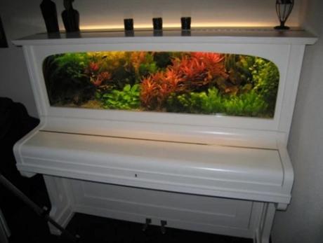 Piano Turned into aquarium