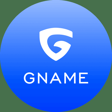 GNAME Auctions