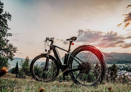 Ten Important Things to Think About Before You Purchase an Ebike