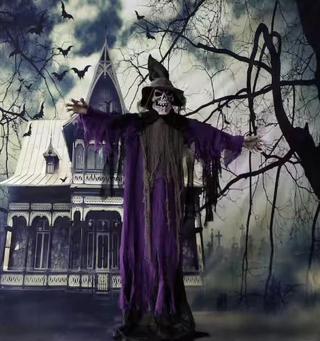 Skeleton Witch Halloween Prop on Home Depot