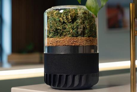 Briiv Pro Air Purifier by Whitfield Sykes