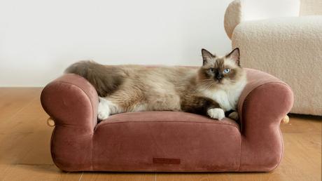 Fluffy Bread Pet Bed by Kama Muta