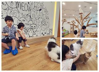 JB Cat Cafe: Chucky Cat Cafe