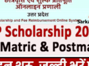 Scholarship, Scholarship Online Form 2024, Apply 2024