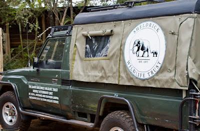 CLOSE-UP WITH WILDLIFE IN NAIROBI, KENYA: Part 1,Sheldrick Elephant Orphanage, Guest Post by Humberto Gutierrez Rivas