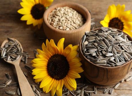 Are Sunflower Seeds Healthy? 8 Benefits and Side Effects