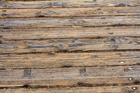 Don’t Let Rot Ruin Your Home: Spotting the Difference Between Dry and Wet Rot