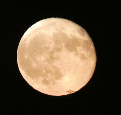 Blue Moon --Tuesday and Monday