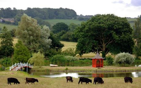 Pond or pool? Why the new celebrity status symbol is pissing off the neighbors