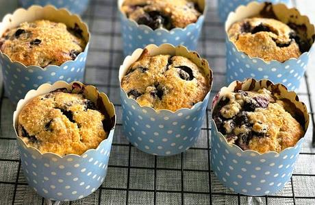 Jordan Marsh Blueberry Muffins