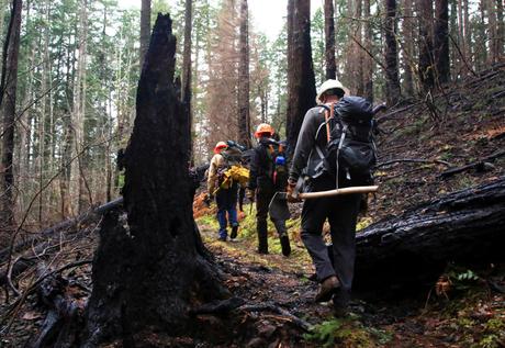 Wildfires continue to hit the iconic Pacific Crest Trail, leading to closures and evacuations