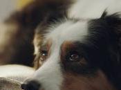 Best Motorized Smart Blinds, Shades Retrofit Kits