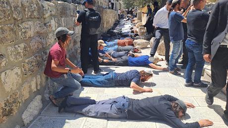 Picture of the Day Picture of the Day