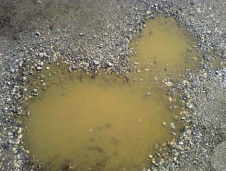 Puddle that looks like a duck