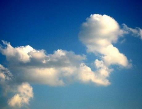 Cloud that looks like a duck