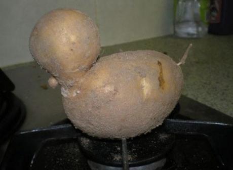 A potato that looks like a duck