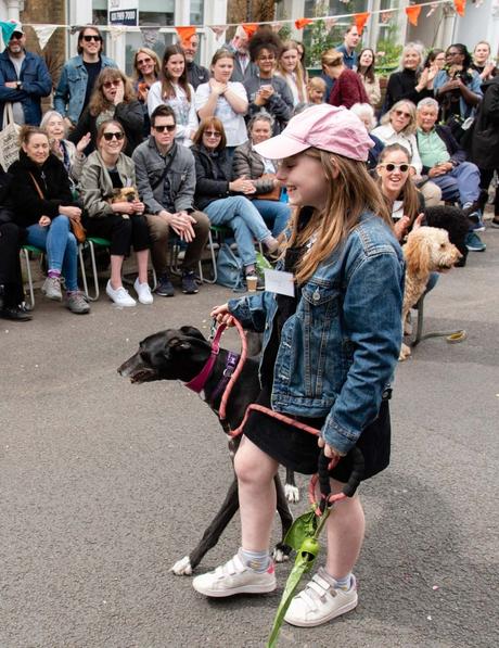 The BTG (now annual) Dog Show