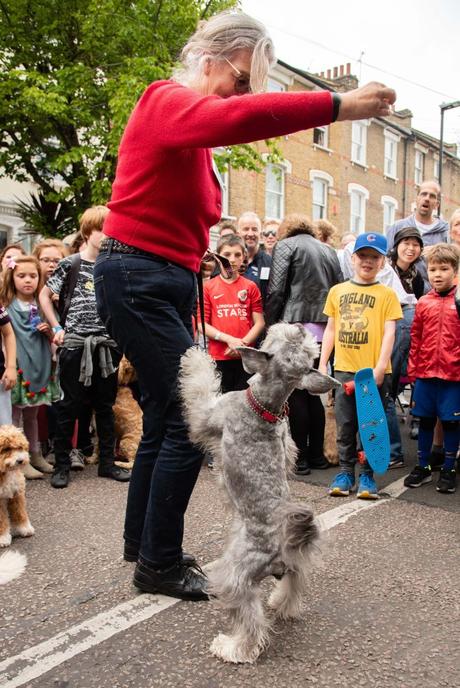 The BTG (now annual) Dog Show