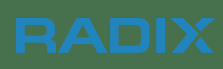 Radix H1 2024 Premium Domains Report