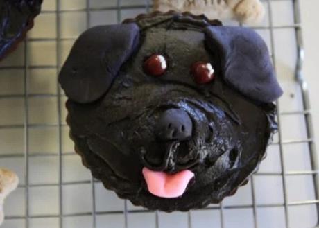 Cupcakes that look like dogs