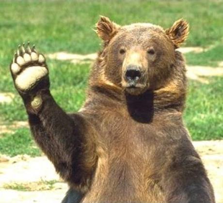 Wrestling A Grizzly In Warsaw